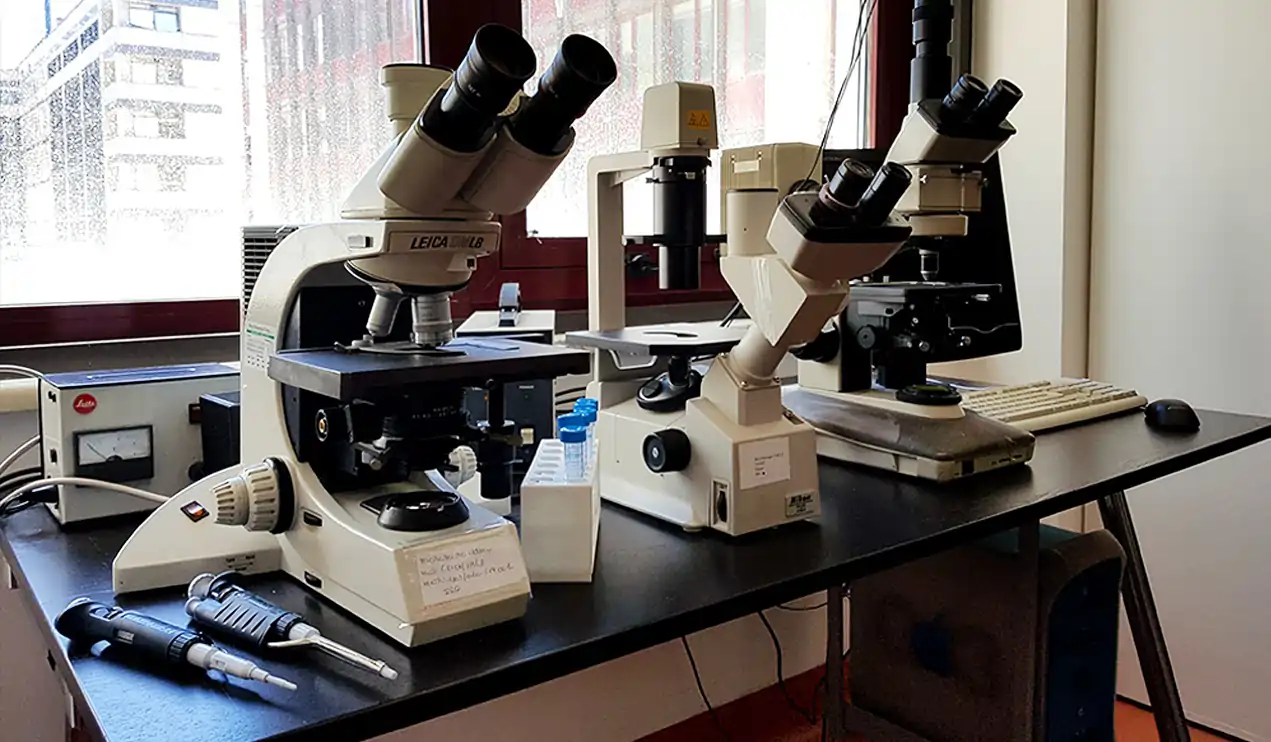 Laboratorio IRG